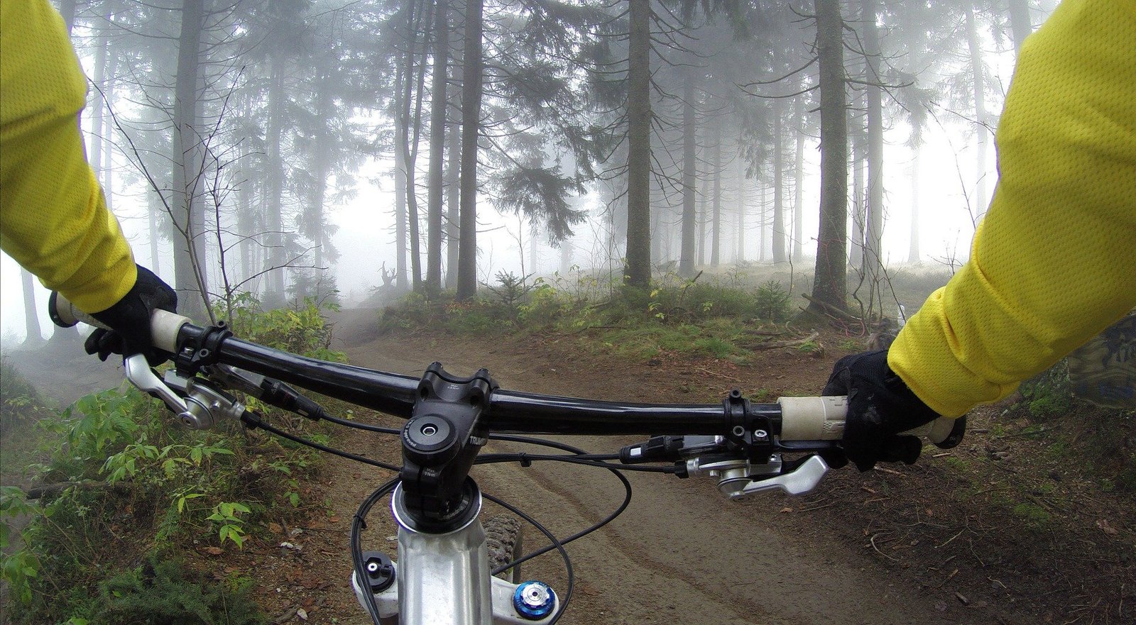 cyclist riding through a forest