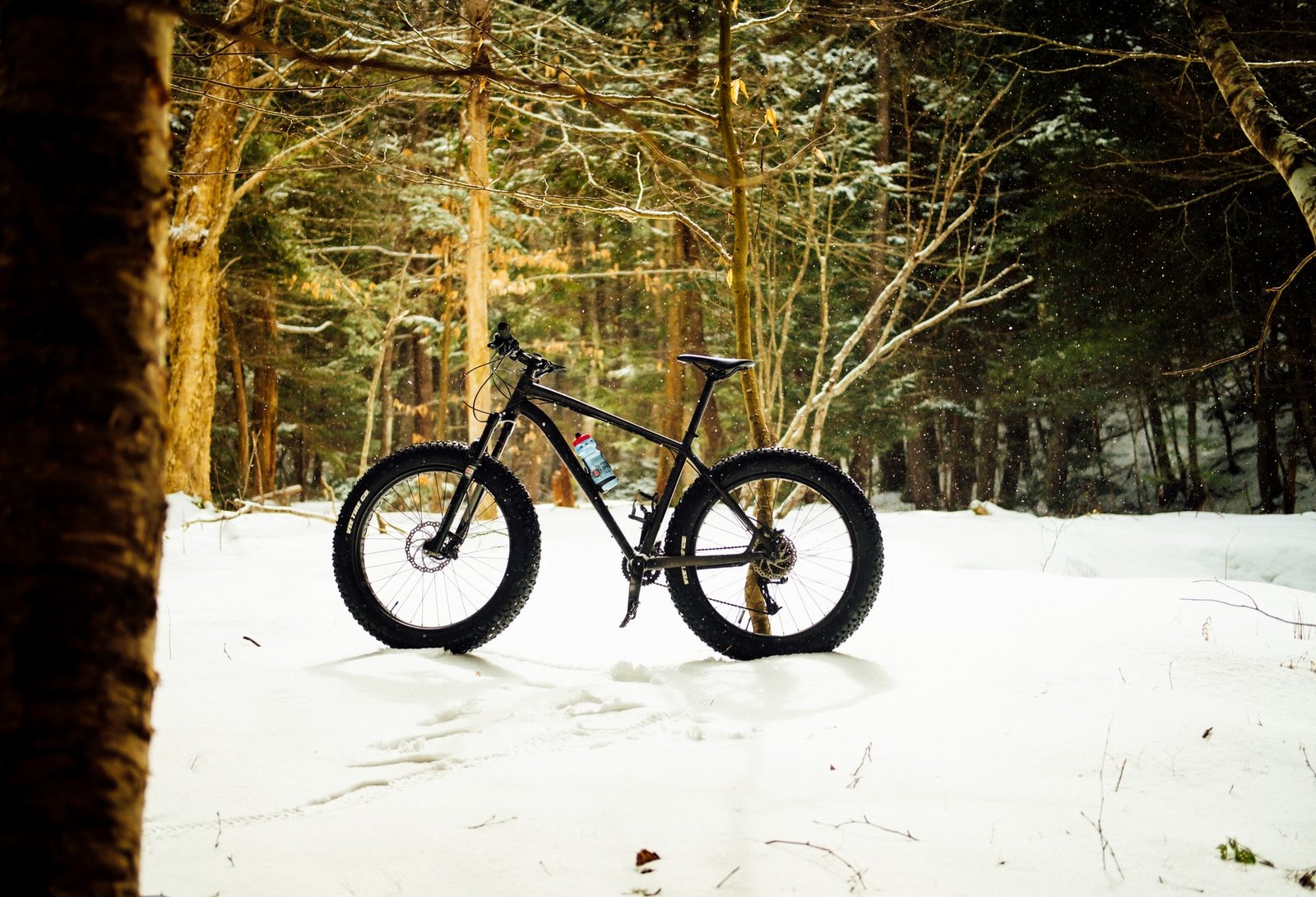 a bike sits in the woods during winter